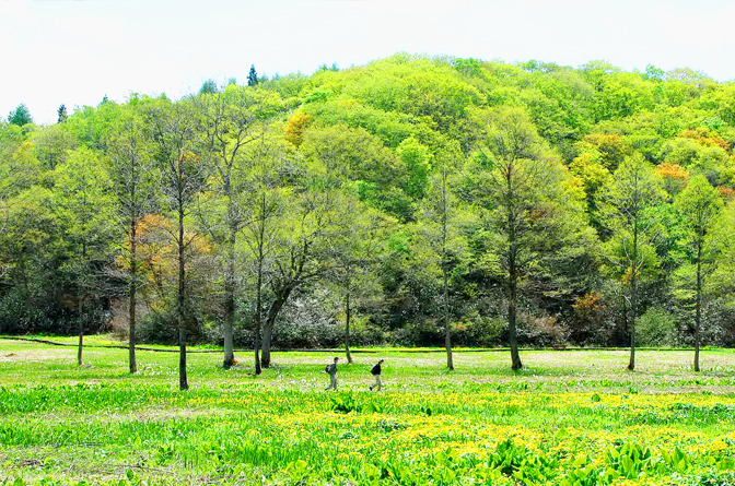 The Shin’etsu trail