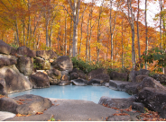 Tsubame Onsen